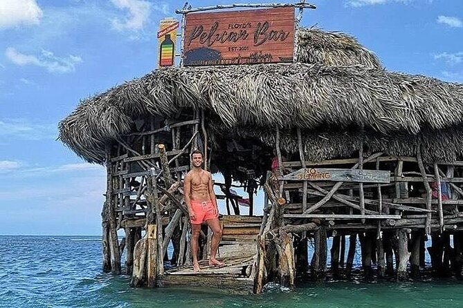 Full-Day South Coast - YS Falls, Pelican Bar & Black River Safari - The private driver can shape the day