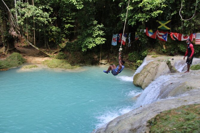 Full-Day Tour of Blue Hole and Dunn's River Falls, Including Fees - Who should book this day?