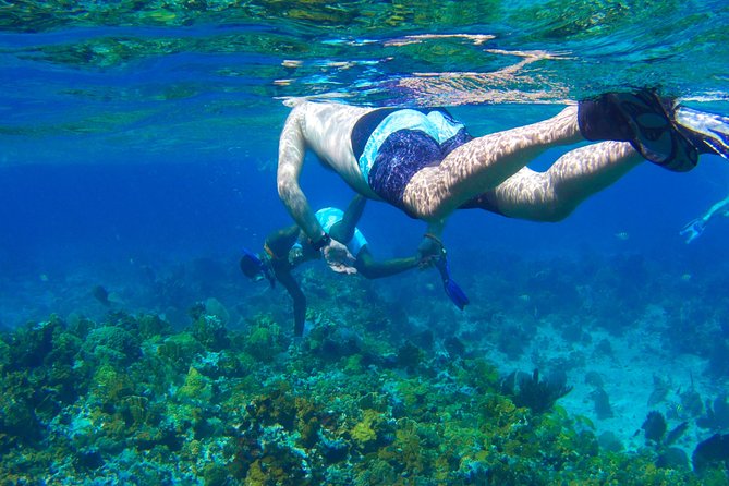 Glass Bottom Boat Ride/Snorkeling/Booby Cay Island from Negril - Key points to know before you go