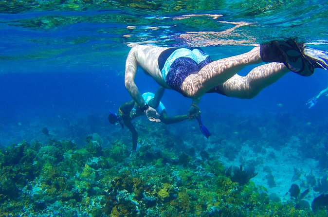 Glass Bottom Boat Ride/Snorkeling/Booby Cay Island from Negril - Who will enjoy this experience most?