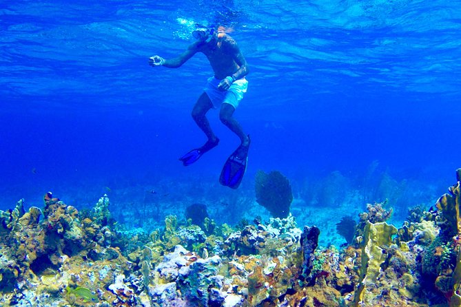 Glass Bottom Boat Ride/Snorkeling/Booby Cay Island from Negril - Leaving Negril’s beach for the reef