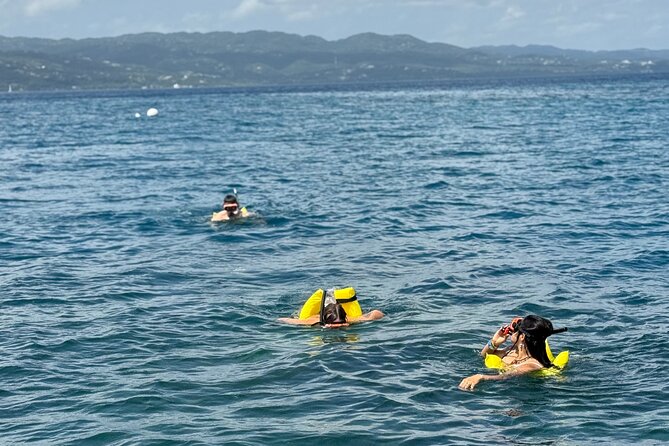 Glass bottom Boat Tour and Snorkeling Experience in Montego Bay - A glass-bottom introduction to Montego Bay’s reef