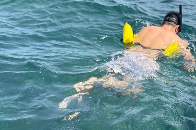 Glass bottom Boat Tour and Snorkeling Experience in Montego Bay - What the snorkeling portion feels like