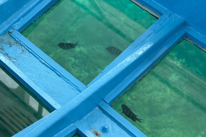 Glass bottom Boat Tour and Snorkeling Experience in Montego Bay - Who will enjoy this Montego Bay outing?
