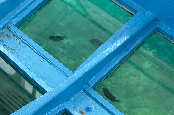 Glass bottom Boat Tour and Snorkeling Experience in Montego Bay - Small details that make a difference