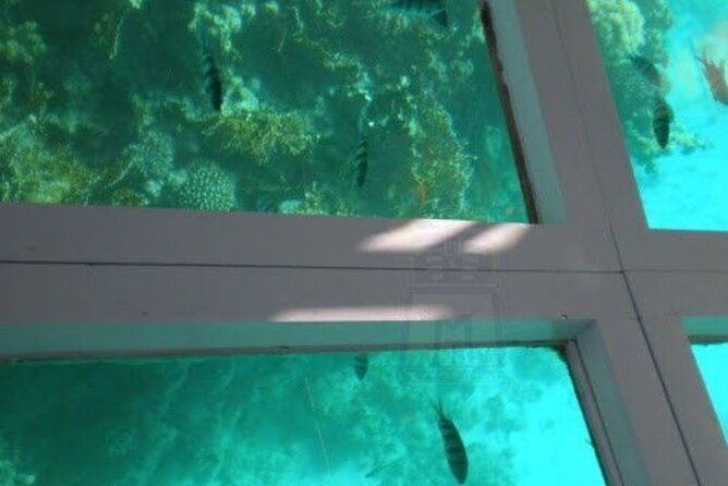 Glass Bottom Boat Water Activity in Montego Bay Jamaica - Seeing Jamaica’s sea life through glass