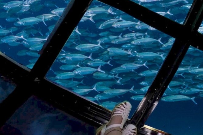 Glass Bottom Boat Water Activity in Montego Bay Jamaica - Is $90 per person good value?