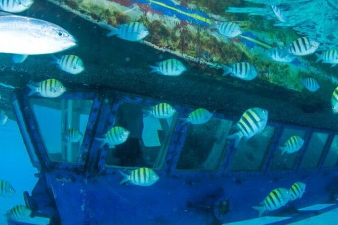 Glass Bottom Boat Water Activity in Montego Bay Jamaica - Booking timing and cancellation