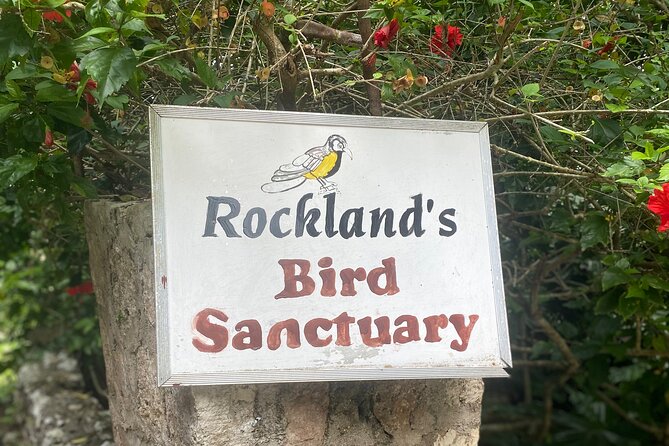 Great River Bamboo Rafting and Bird Sanctuary Combine Tour From Montego Bay - Private transportation and the practical details