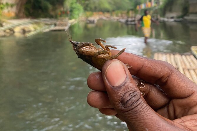 Great River Rafting - Limestone Foot Massage and ATV Rides From Montego Bay - The limestone foot massage stop