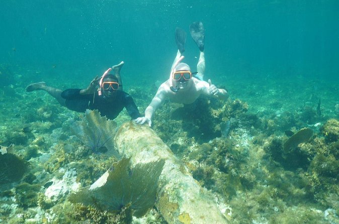 Guided Snorkeling at the Anchor and Cannon Reef in Negril - Learning the reef story as you swim