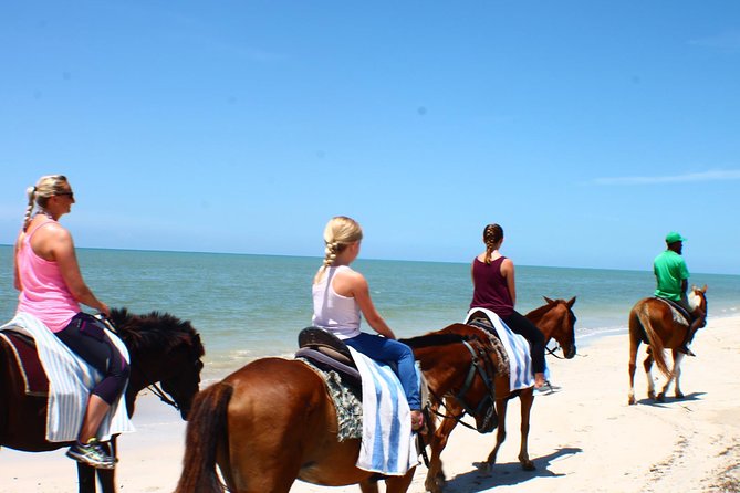 Half Day Beach Horseback Riding in Ocho Rios + Lunch - The sea portion is the tour’s big moment
