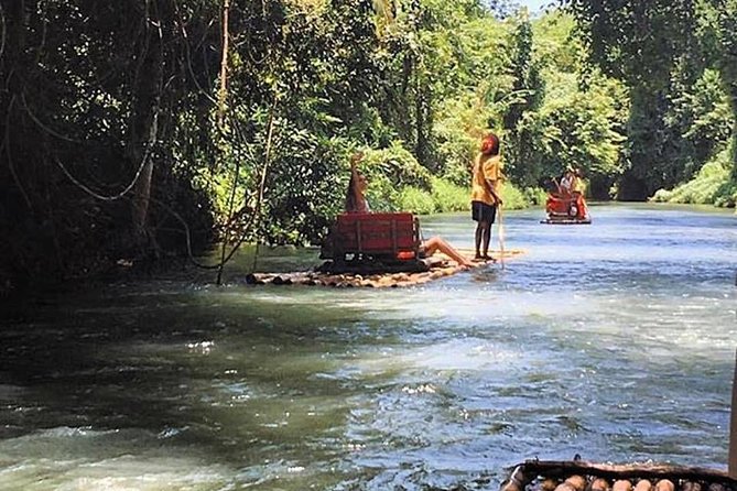 Half-Day Private Martha Brae Rafting Tour from Montego Bay - The herb garden and Jamaica’s traditional remedies