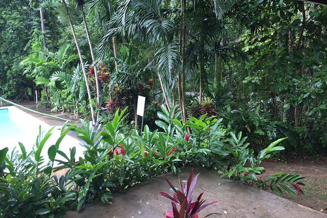 Half-Day Private Martha Brae Rafting Tour from Montego Bay - What to bring and what to clarify