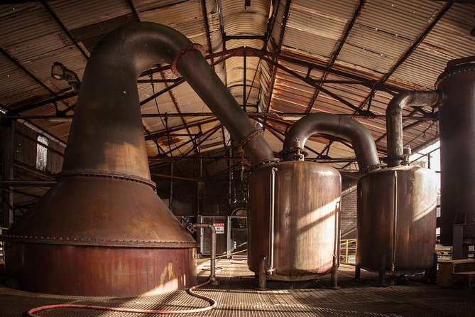 Hampden Estate Rum Tour and Lunch from Falmouth - Walking through a 260-year-old rum tradition