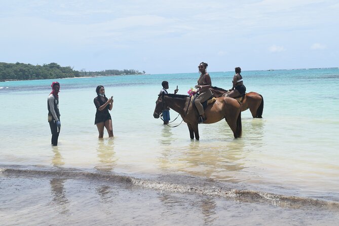 Horse Back Riding and Blue Hole From Montego Bay - The drive from Montego Bay to Rio Bueno