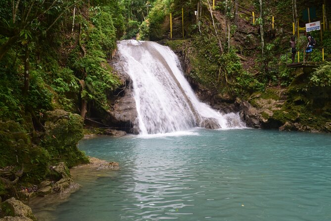 Horse Back Riding and Blue Hole From Montego Bay - Who should book this experience