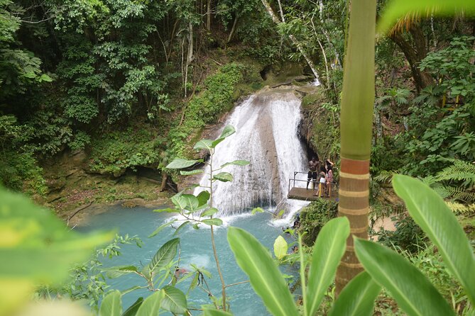 Horse Back Riding and Blue Hole From Montego Bay - Practical planning before you go