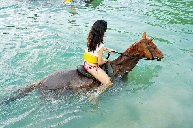Horse Back riding Excursion - The Mammee Bay nature trail