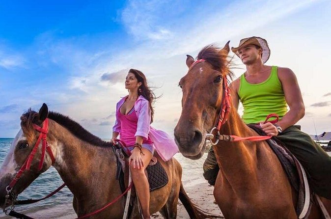 Horse Back riding Excursion - What $95 buys you