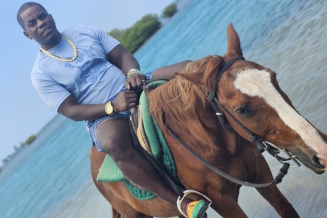 Horseback Ride and Swim Experience Montego with Transportation - What the $110 price really covers