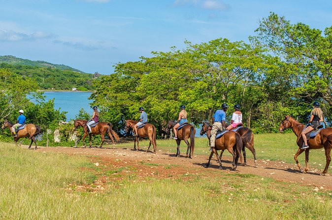 Horseback Ride and Swim from Ocho Rios - Is the $129 price fair?