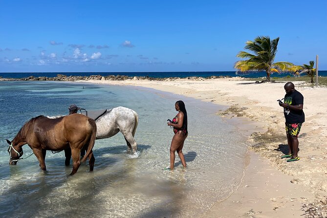 Horseback Ride and Swim Guided Tour from Montego Bay - Returning to the beach for the main event