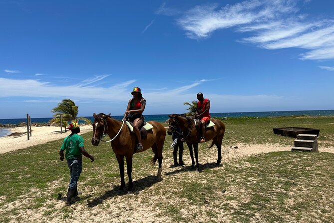 Horseback Ride and Swim Guided Tour from Montego Bay - Horse welfare and the quality of the guides