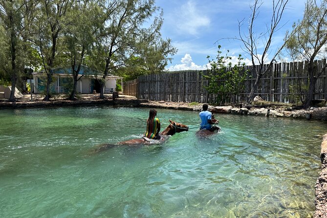 Horseback Ride and Swim Guided Tour from Montego Bay - What the $160 price really covers