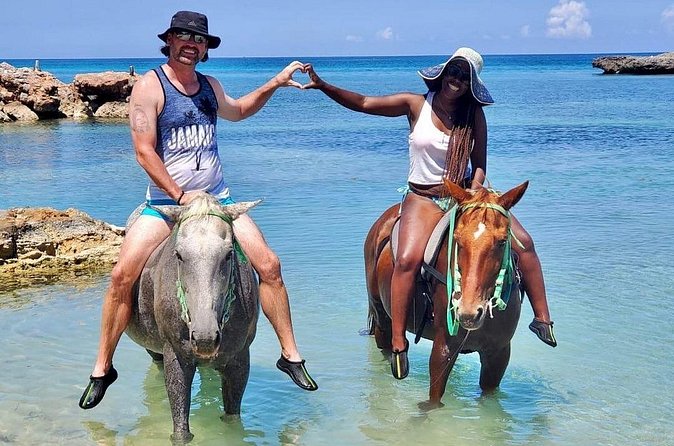 Horseback Ride and Swim Jamaica - Walking and swimming with the horses
