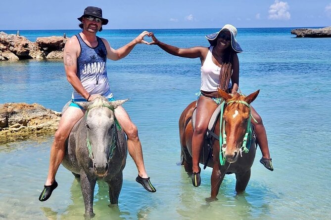Horseback Ride and Swim Jamaica - Horses, guides, and the care standard