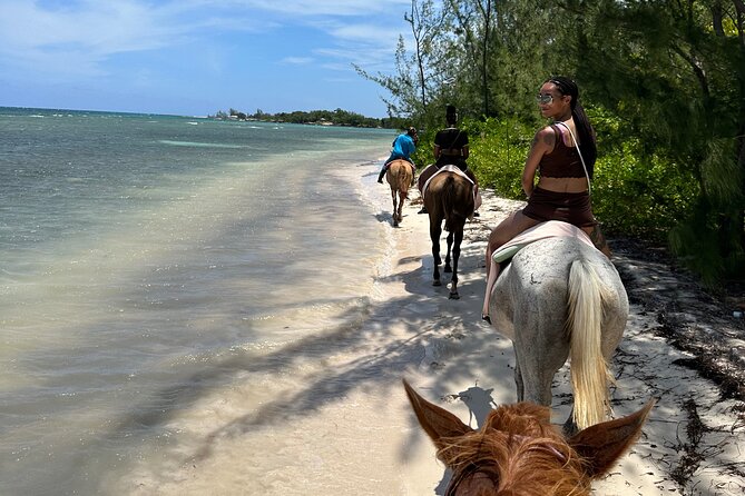 Horseback Ride and Swim Tour In Montego Bay - From Montego Bay pickup to the stable