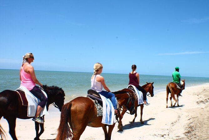 Horseback Ride ATV and Bamboo Rafting Tour Ocho Rios in Jamaica - Horseback riding from forest to Turtle Beach