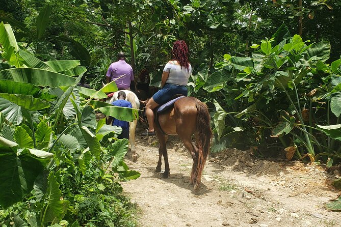 Horseback 'Ride N Swim' & Dunns River Falls from Montego Bay - A Horse Ride That Ends in the Sea