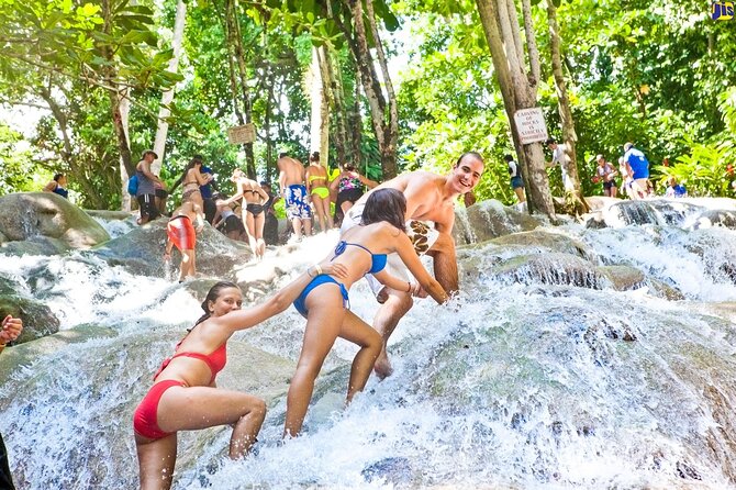 Horseback 'Ride N Swim' & Dunns River Falls from Montego Bay - What the Five-Star Service Means in Practice