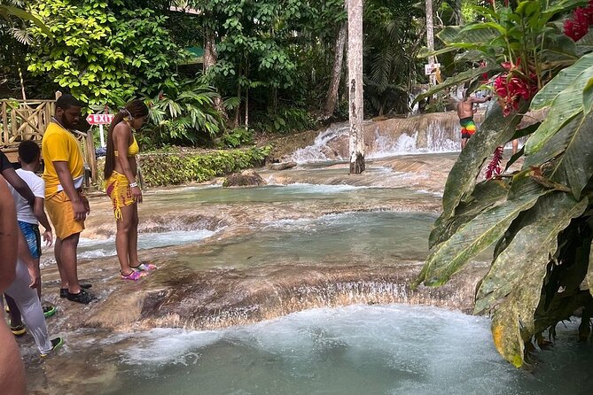 Horseback 'Ride N Swim' & Dunns River Falls from Montego Bay - Should You Book This Tour?