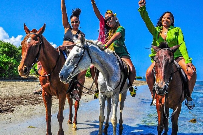 Horseback Ride & Swim Jamaica/Montego Bay - From Montego Bay to the St. Ann riding base