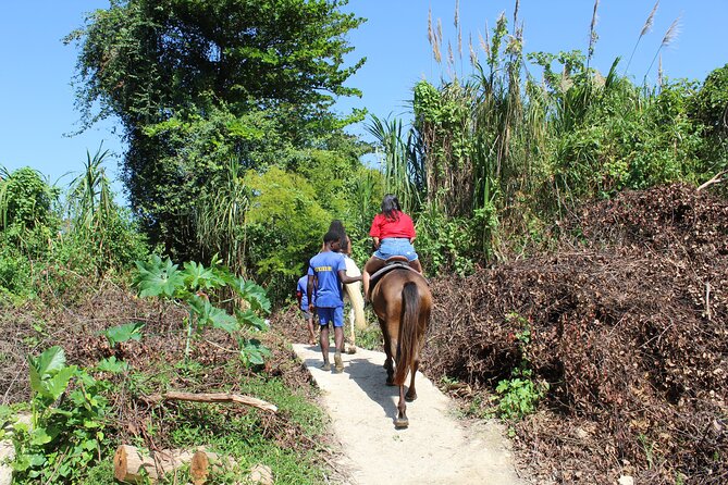 Horseback Ride & Swim Jamaica/Montego Bay - Along the beach and into the Caribbean