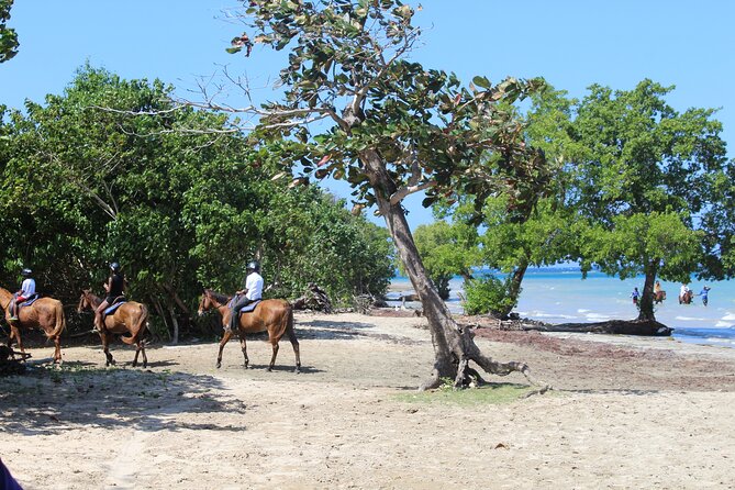 Horseback Ride & Swim Jamaica/Montego Bay - Timing, weather, and cancellation details