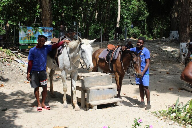 Horseback Ride & Swim Jamaica/Montego Bay - My take on the guides and personal service