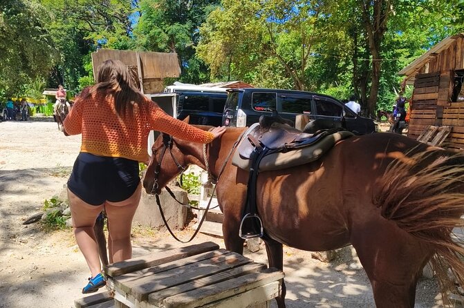 Horseback Riding and Swim Experience - The horses are part of the experience, not just the equipment