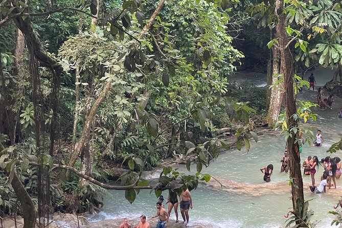 Horseback Riding and Swimming then Dunn's River Falls - Who should book this Jamaica day trip?