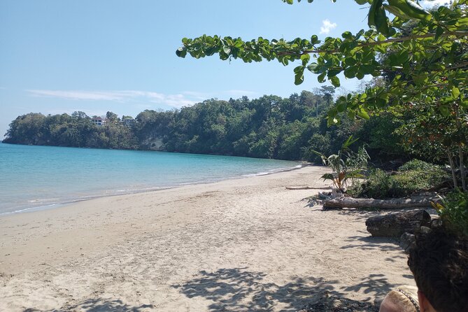 Horseback riding, Blue hole or Dunn's River Combo - My call: book it after confirming the water stop