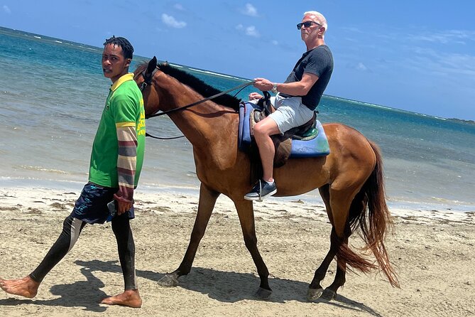Horseback riding & bluehole secret falls from Montego Bay - From Montego Bay to Jamaica’s north coast