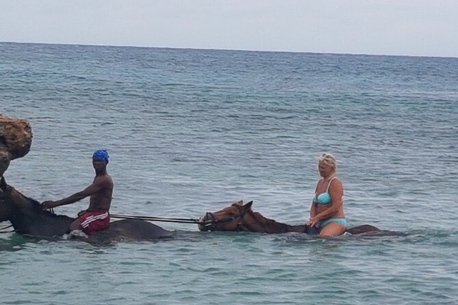 Horseback Riding Dunn's River Falls Adventure from Montego Bay - What the $186.35 price buys you