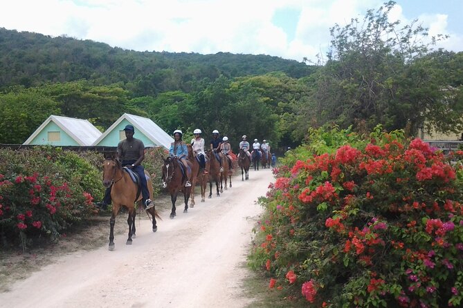 Horseback Riding Dunn's River Falls Adventure from Montego Bay - The guide can shape the whole day