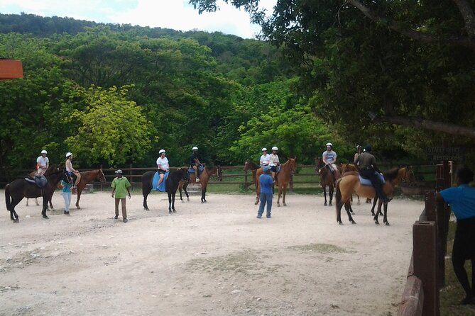 Horseback Riding Dunn's River Falls Adventure from Montego Bay - Who should book this six-hour outing