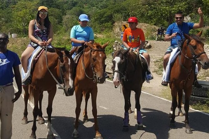 Horseback Riding from Montego Bay - Who should book this horseback ride