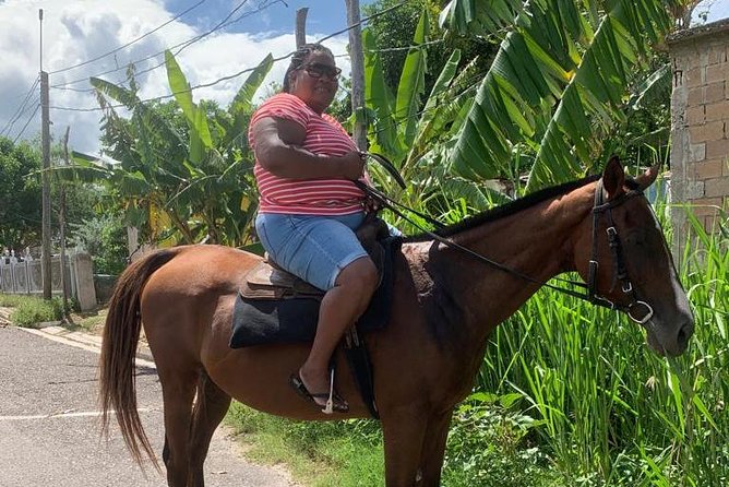 Horseback Riding from Montego Bay - Practical advice for a smoother day
