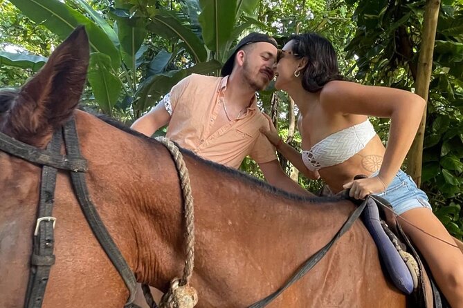 Horseback Riding In The Ocean from Montego Bay Private Transfer - Why the private vehicle adds real value